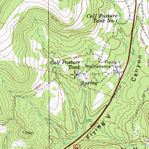 Topographic Map of Calf Pasture Tank, AZ