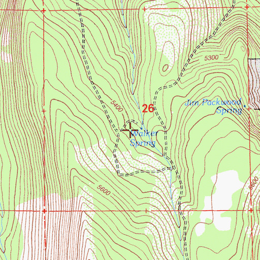 Topographic Map of Walker Spring, CA