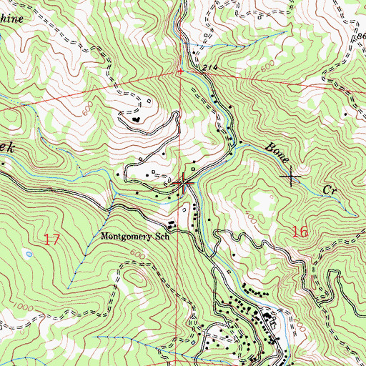 Topographic Map of Ward Creek, CA
