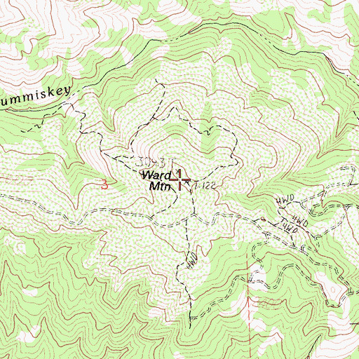 Topographic Map of Ward Mountain, CA