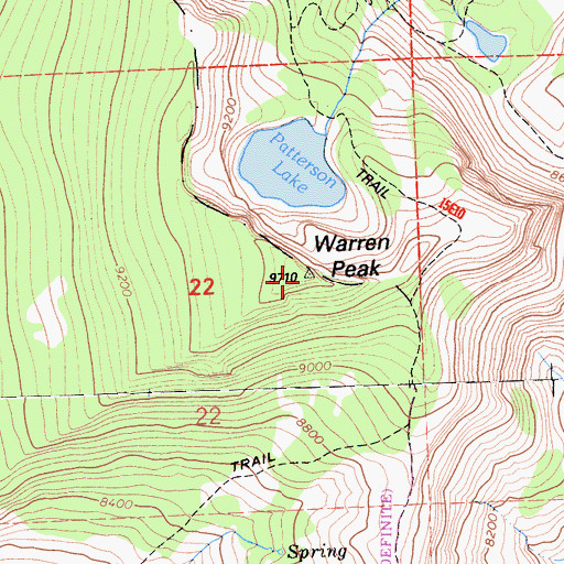 Topographic Map of Warren Peak, CA