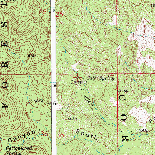 Topographic Map of Calf Spring, AZ
