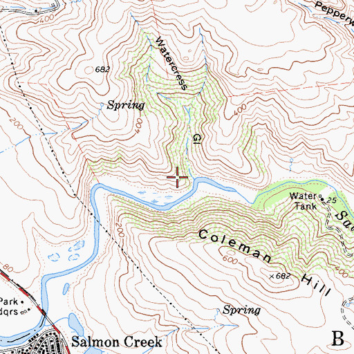 Topographic Map of Watercress Gulch, CA