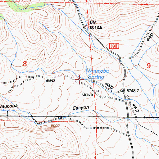 Topographic Map of Waucoba Spring, CA