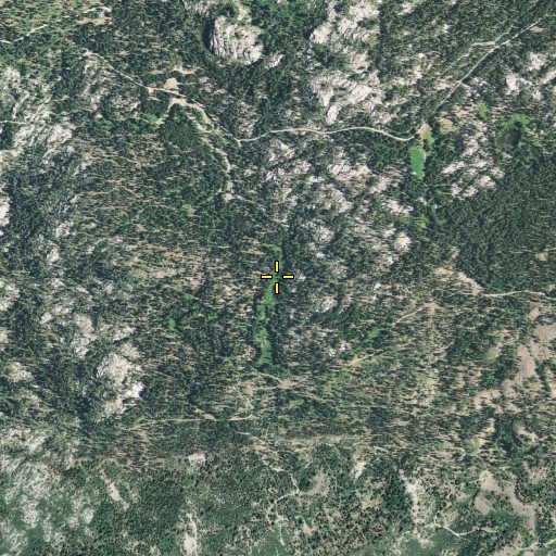 Aerial/Satellite Image of Webster Flat, CA
