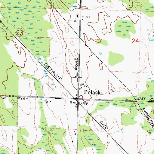 Topographic Map of Polaski Station (historical), MI