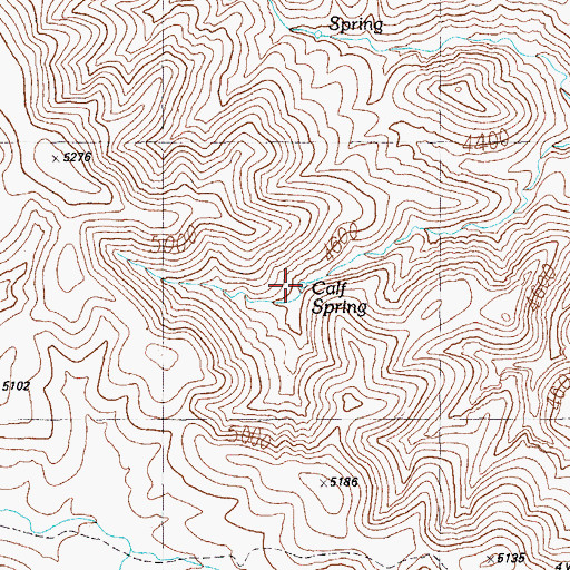 Topographic Map of Calf Spring, AZ