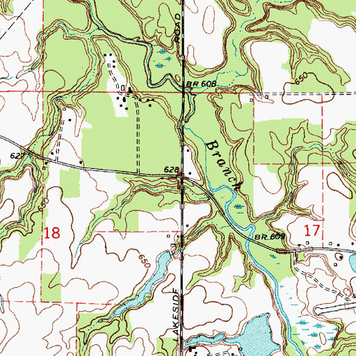 Topographic Map of Basswood Cemetery, MI