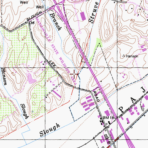 Topographic Map of West Branch Struve Slough, CA