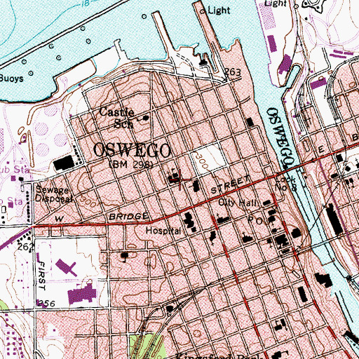 Topographic Map of Saint Mary's Roman Catholic Church, NY