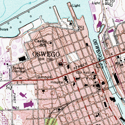 Topographic Map of Saint Mary's Parochial School, NY
