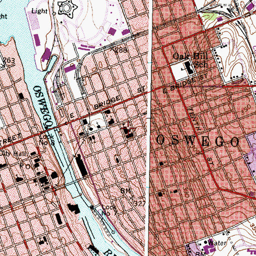 Topographic Map of Trinity Catholic School, NY