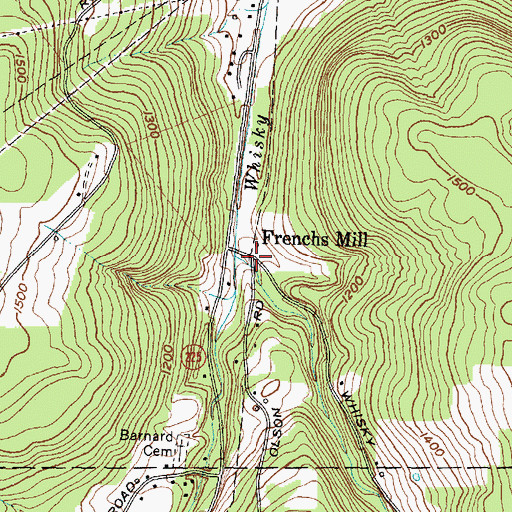Topographic Map of Frenchs Mill, NY