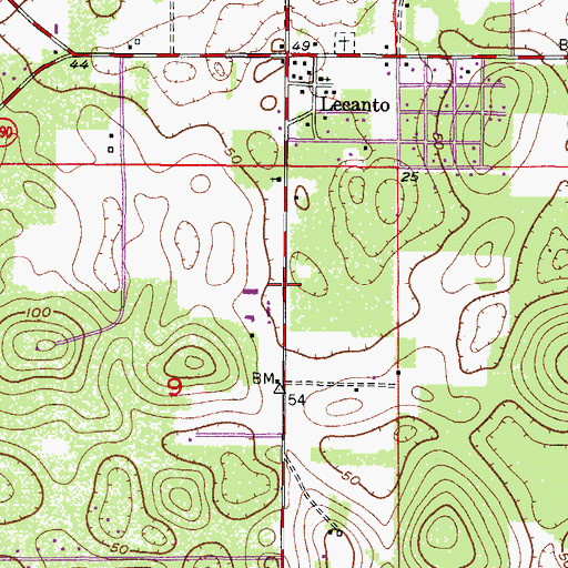 Topographic Map of Lecanto Community Center, FL