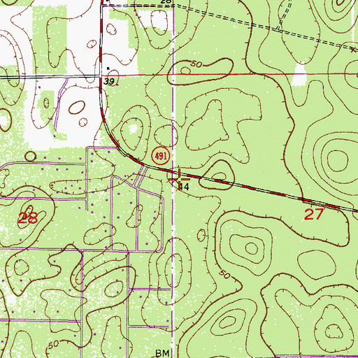 Topographic Map of Citrus County Fire Rescue Station 21, FL
