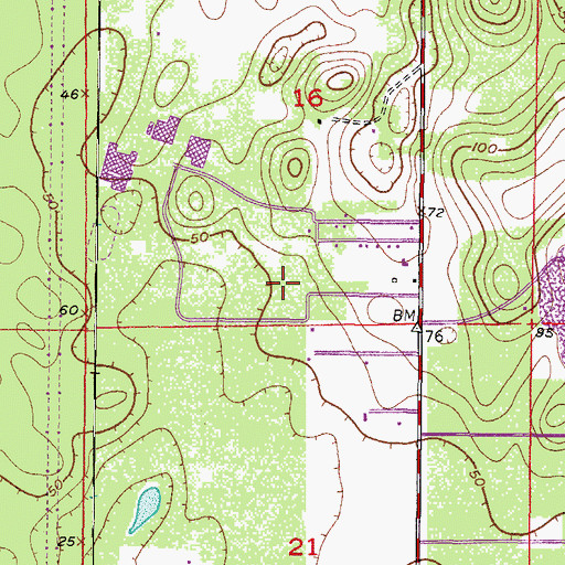 Topographic Map of Lecanto Park, FL