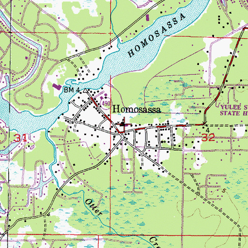 Topographic Map of Homosassa Elementary School, FL