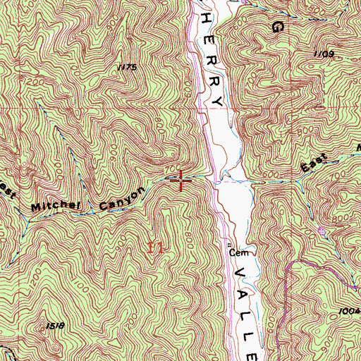 Topographic Map of West Mitchel Canyon, CA