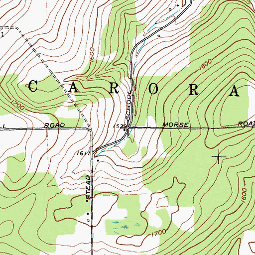 Topographic Map of Stead School (historical), NY