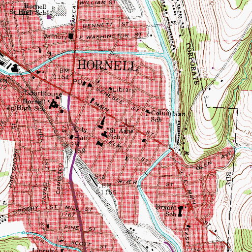 Topographic Map of Hornell Children's Home, NY