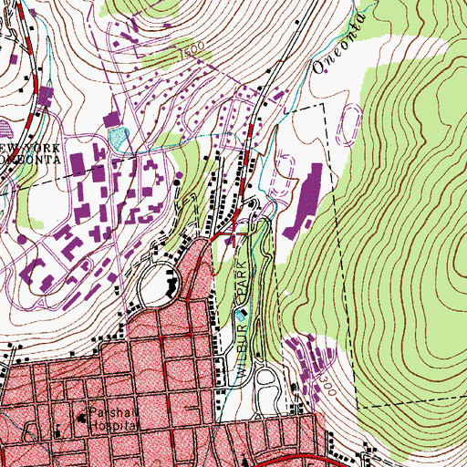 Topographic Map of Oneonta Water Treatment Plant, NY