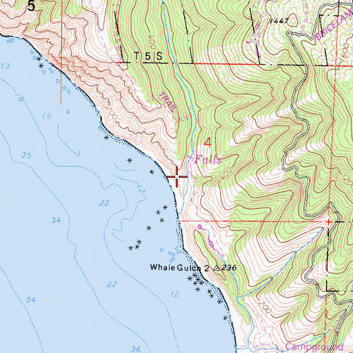 Topographic Map of Whale Gulch, CA