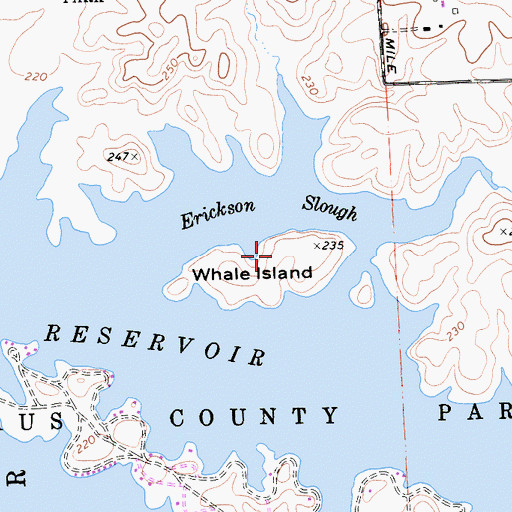 Topographic Map of Whale Island, CA