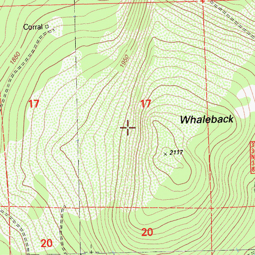 Topographic Map of Whaleback Mountain, CA