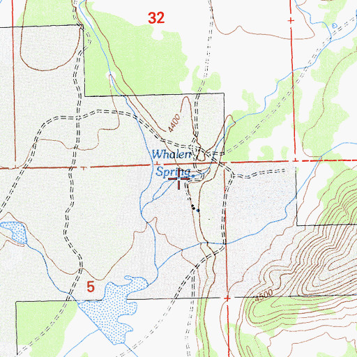Topographic Map of Whalen Spring, CA