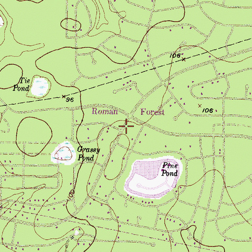 Topographic Map of Roman Forest Police Department, TX