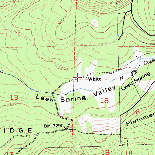 Topographic Map of White, CA