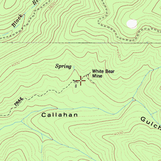 Topographic Map of White Bear Mine, CA