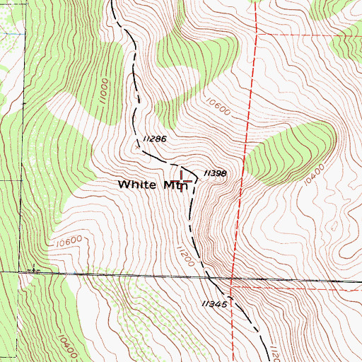 Topographic Map of White Mountain, CA