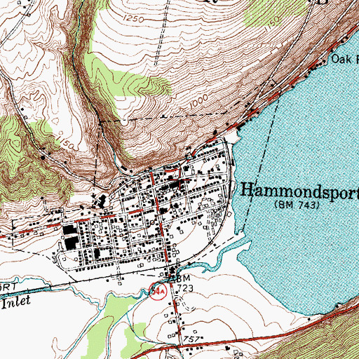 Topographic Map of Hammondsport Village Hall, NY