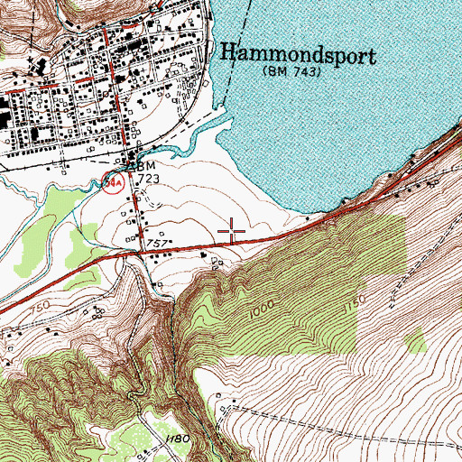 Topographic Map of Hammondsport Fire Department, NY
