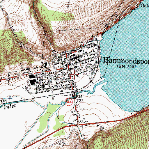 Topographic Map of Elmwood Cemetery, NY