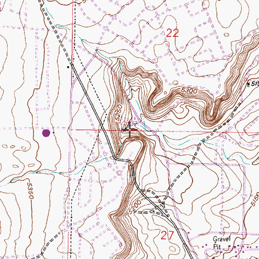 Topographic Map of South Boca Negra Arroyo, NM