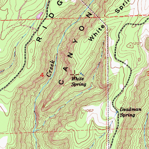 Topographic Map of White Spring, CA