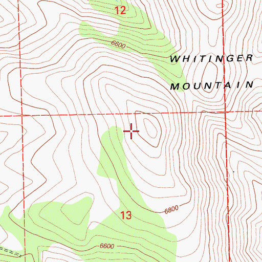 Topographic Map of Whitinger Mountain, CA
