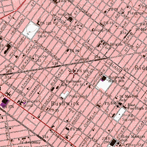 Topographic Map of Bushwick Fields, NY