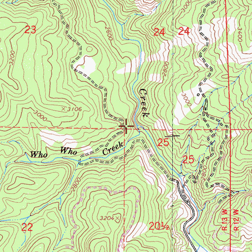 Topographic Map of Who Who Creek, CA