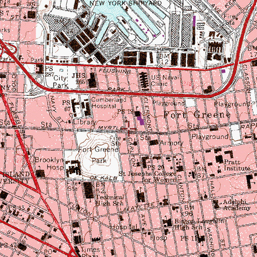 Topographic Map of Person Square, NY