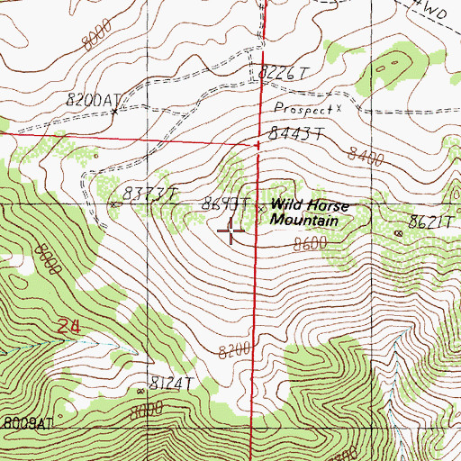 Topographic Map of Wild Horse Mountain, CA