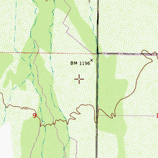 Topographic Map of Pinal Dusters Airstrip (historical), AZ