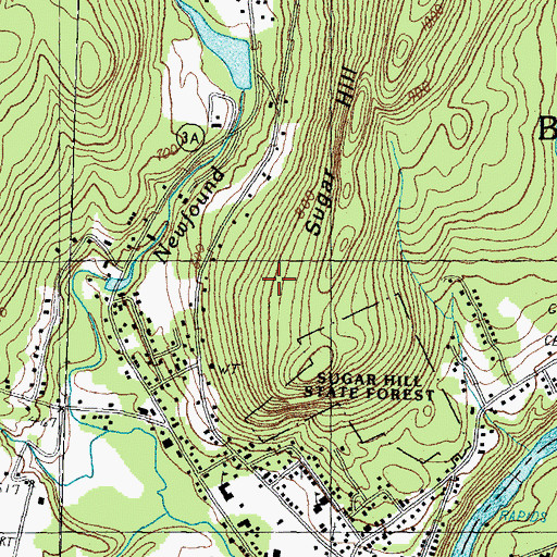 Topographic Map of Bristol Census Designated Place, NH