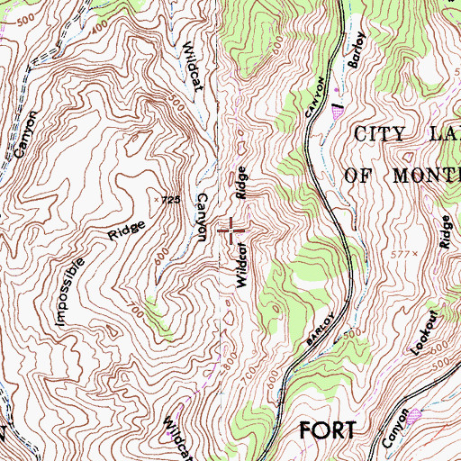 Topographic Map of Wildcat Ridge, CA