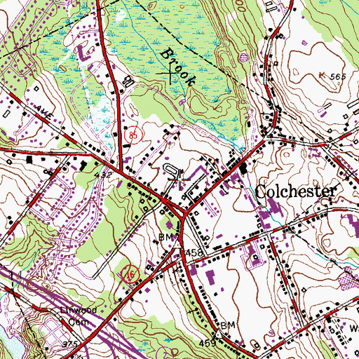 Topographic Map of Colchester Census Designated Place, CT