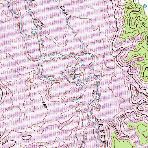 Topographic Map of Cedar Creek Lake Division, TX