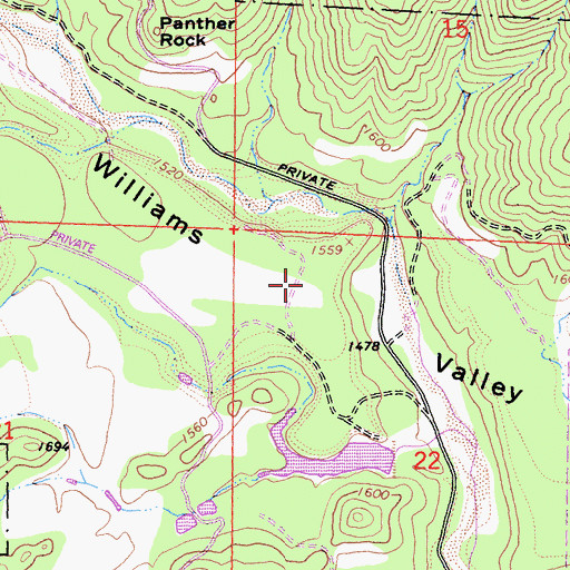 Topographic Map of Williams Valley, CA