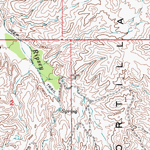 Topographic Map of Ripsey Spring, AZ